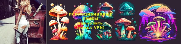 тгк Беломорск