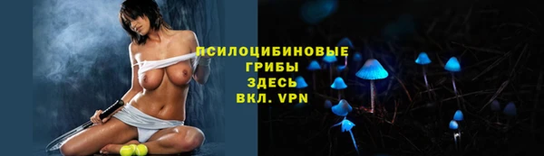 тгк Беломорск