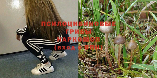 тгк Беломорск