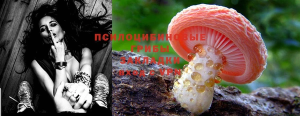 первитин Белоозёрский