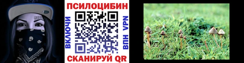 Псилоцибиновые грибы мицелий  Макаров 